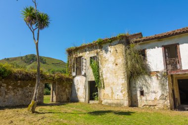 büyük kır evi harabeye bitki örtüsü ile terk