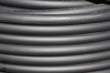 bir çok mor çiçekler