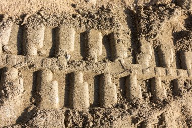 bir çok mor çiçekler