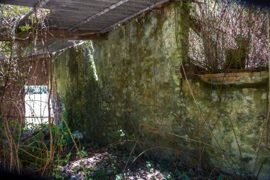 Islak bitki örtüsü yok edilmiş ev iç