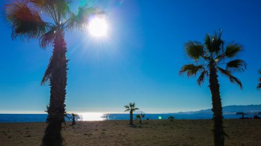 Palmiye ağaçları Almeria, İspanya ile tenha plaj