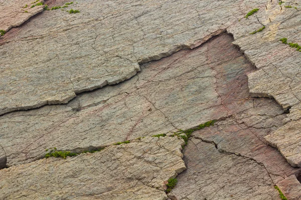 A Background textured rock — Stock Photo, Image