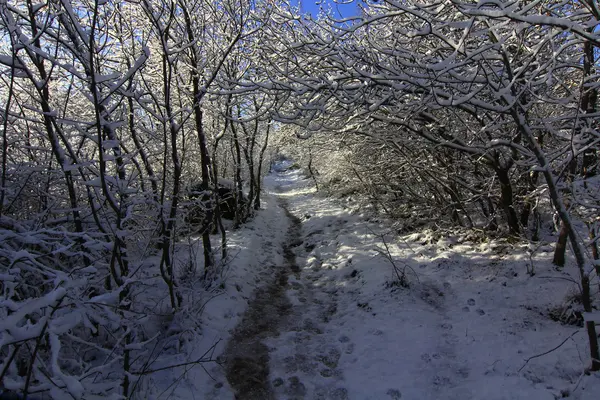 蓝天白云的雪景 — 图库照片