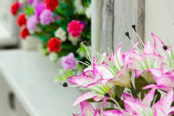 Eine hübsche Blüte lila — Stockfoto