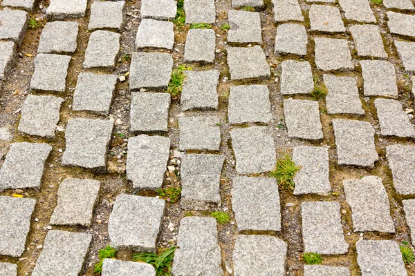 Fundo chão de paralelepípedos fato — Fotografia de Stock