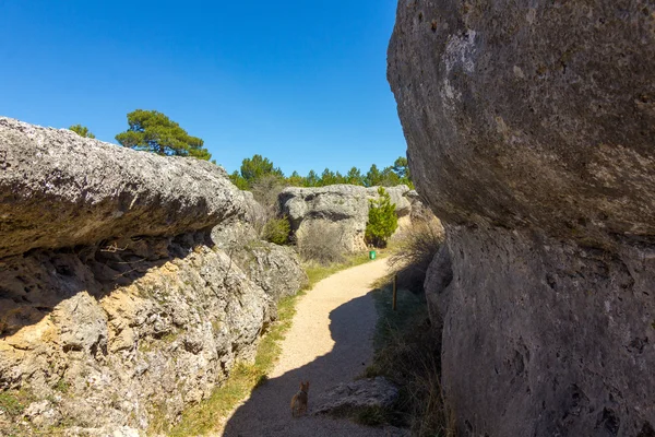 Rocas con formas caprichosas en la ciudad encantada de Cuena, España — Foto de Stock