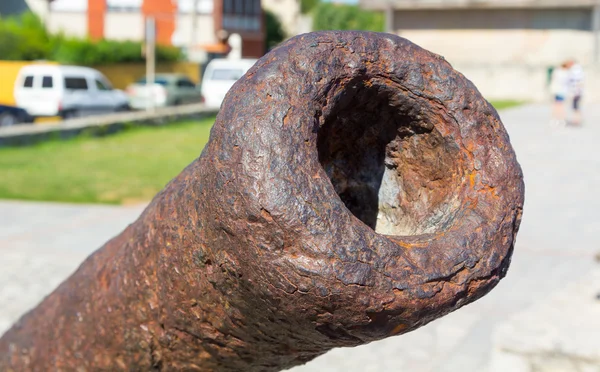 Antica e antica difesa costiera cannone — Foto Stock