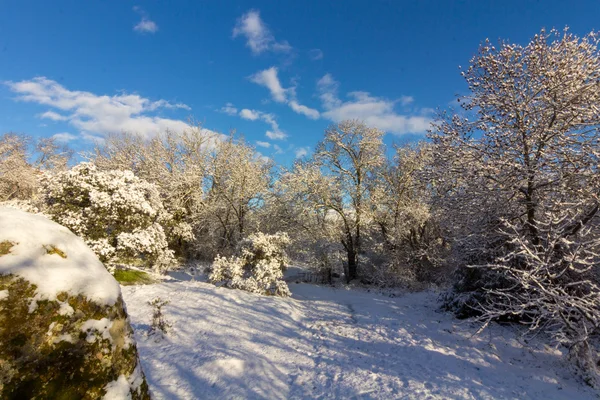 蓝天白云的雪景 — 图库照片