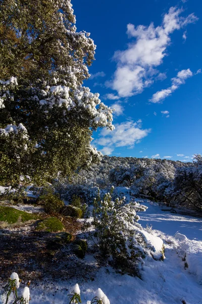 Paysage enneigé avec ciel bleu et nuages blancs — Photo