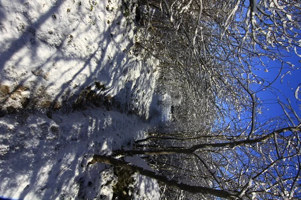 Сніговий пейзаж з блакитним небом і білими хмарами — стокове фото