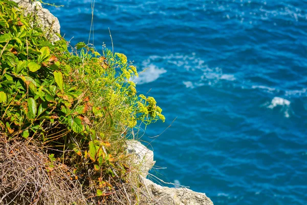 Blaue Felsen am kantabrischen Meer — Stockfoto