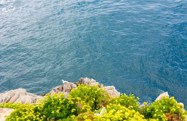 Blaue Felsen am kantabrischen Meer — Stockfoto