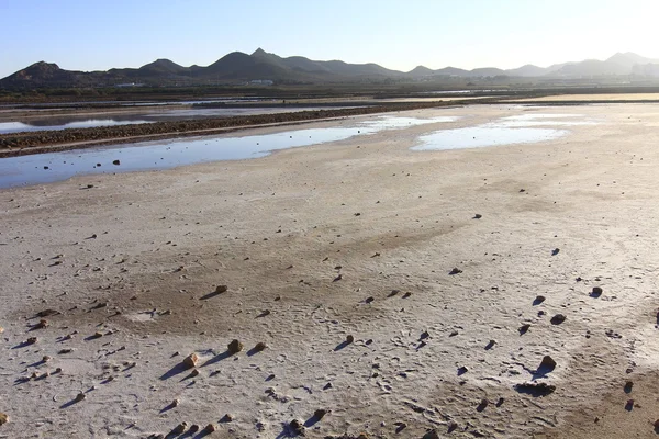 Suchý přírodních solných jezer (Salinas) na jižním pobřeží Murcia, S — Stock fotografie