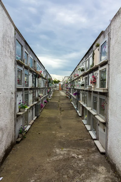 Ниши с цветами на кладбище — стоковое фото