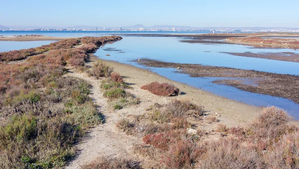 Zone inondée à marée basse à Murcie, Espagne — Photo