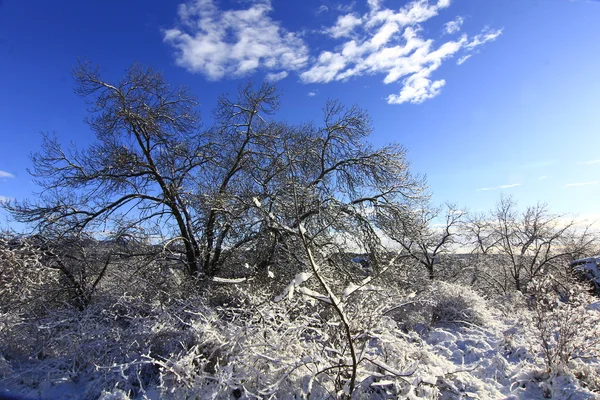 Snöigt landskap med blå himmel och vita moln — Stockfoto