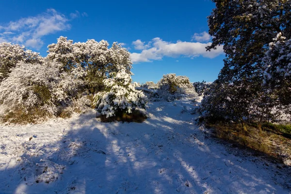 Paysage enneigé avec ciel bleu et nuages blancs — Photo