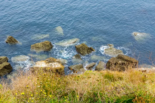 沿着岩石与海藻的水晶蓝色的水域 — 图库照片