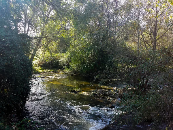 Guadarrama ποταμού μεταξύ βλάστησης περνώντας Galapagar, Μαδρίτη — Φωτογραφία Αρχείου