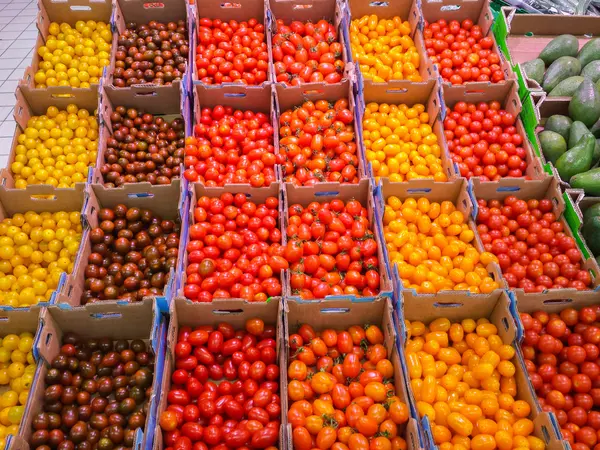 Achtergrond met verschillende vruchten kleuren — Stockfoto