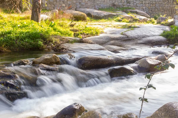 Fast among the rocks of a river — Stock Photo, Image