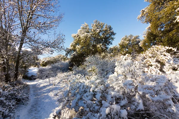 Paysage enneigé avec ciel bleu et nuages blancs — Photo