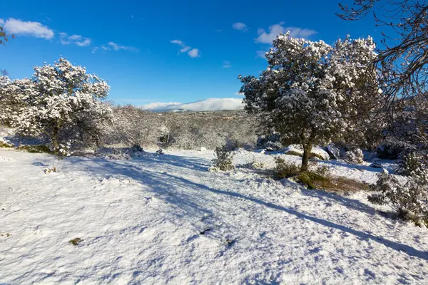 Paisaje nevado con cielo azul y nubes blancas — Foto de Stock