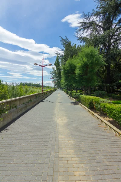 Пешеходная и велосипедная дорожка в парке — стоковое фото
