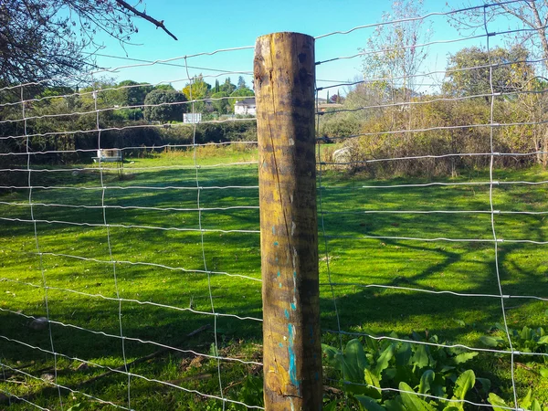 Poste de madera en una cerca en el campo Imagen de archivo
