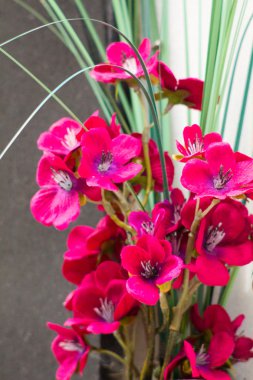 bir güzel çiçekler mor