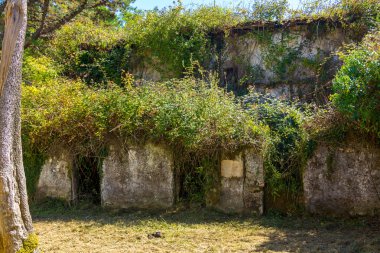 Eski terk edilmiş çiftlik evi harabeye