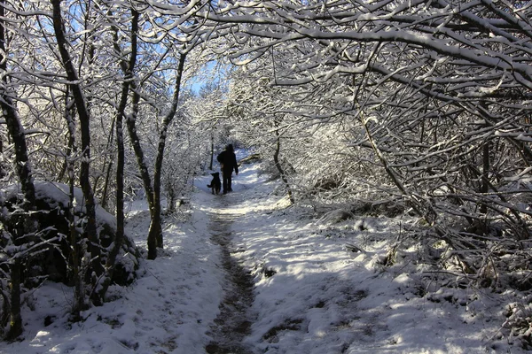 蓝天白云的雪景 — 图库照片