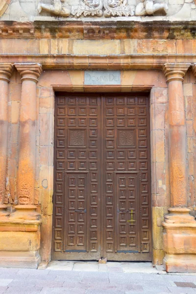 Porta de madeira velha em uma fachada — Fotografia de Stock