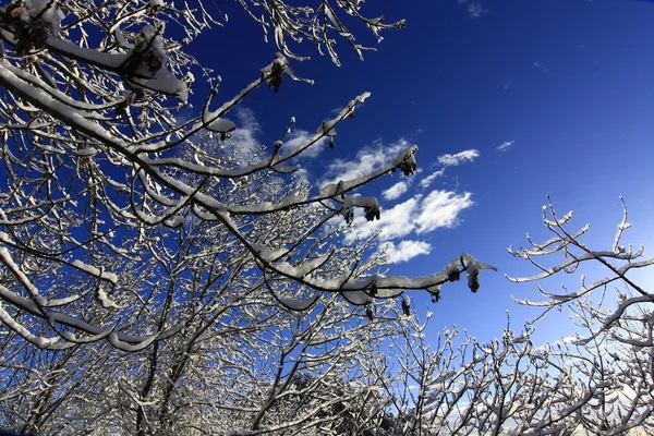 Snöigt landskap med blå himmel och vita moln — Stockfoto