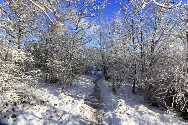 Сніговий пейзаж з блакитним небом і білими хмарами — стокове фото