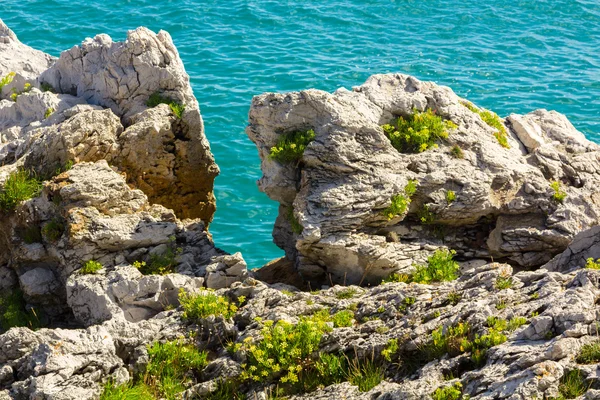 Blue Rocks along the Cantabrian Sea — Stock Photo, Image