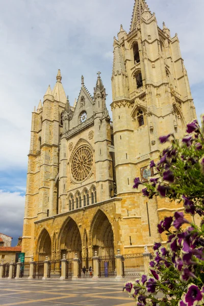 Famous Cathedral of Leon in Spain — Stock Photo, Image