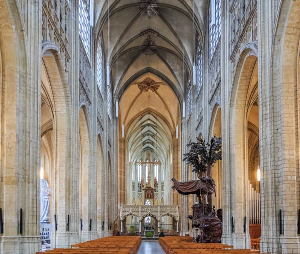 Nave of st. Peters catedral gótica em Leuven Bélgica — Fotografia de Stock