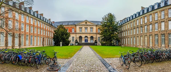 Papa'nın Leuven üniversitede
