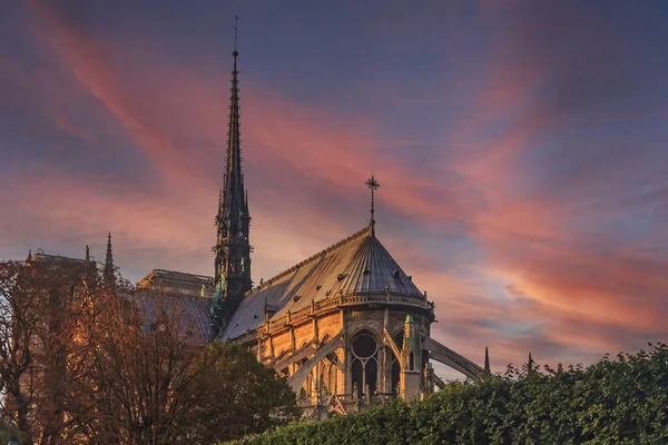 Notre Dame de Paris Katedrali 'nin doğu cephesinde Paris, Fransa' da gün batımında süslü gotik kuleler — Stok fotoğraf