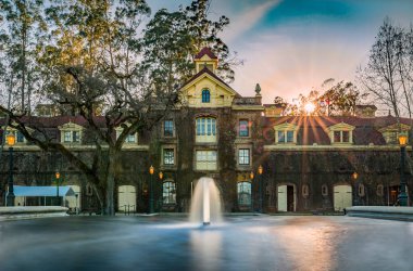 Rutherford, ABD - 27 Şubat 2021: Ivy, Francis Ford Coppola Inglenook şarap imalathanesi Napa Valley, Kaliforniya 'nın ön cephesini baharda gün batımında kapladı.