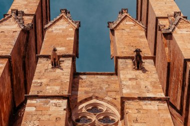 İspanya 'daki Palma de Mallorca' daki Santa Maria Katedrali 'nin heykelleri.