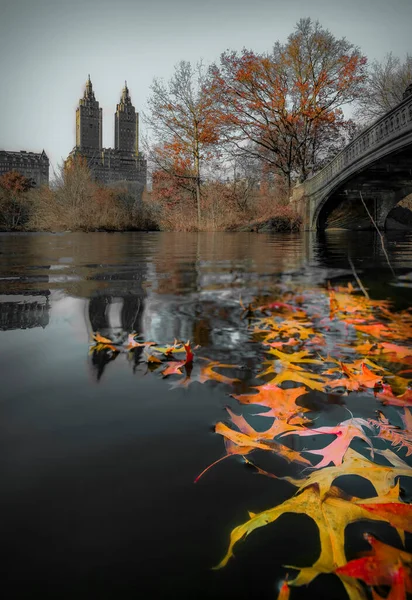 Bow Bridge in Central Park, New York in fall with Manhattan buildings in background and fallen leaves in the foreground — Stock Photo, Image