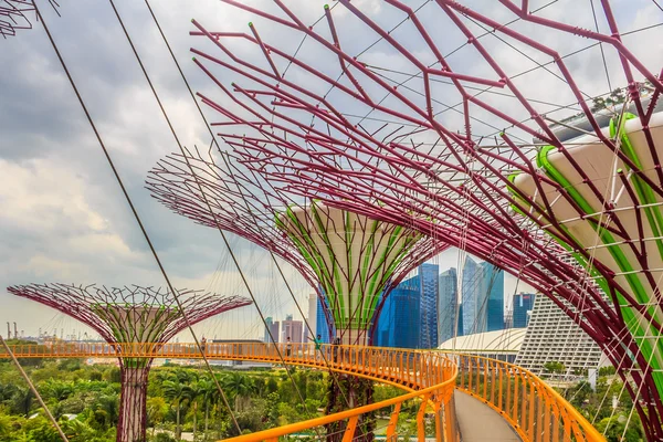 Singapore Supertrees — Stockfoto