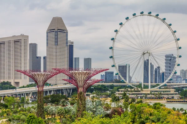 Singapore Supertrees en Flyer — Stockfoto