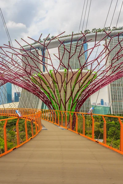 Singapore Supertrees — Stockfoto