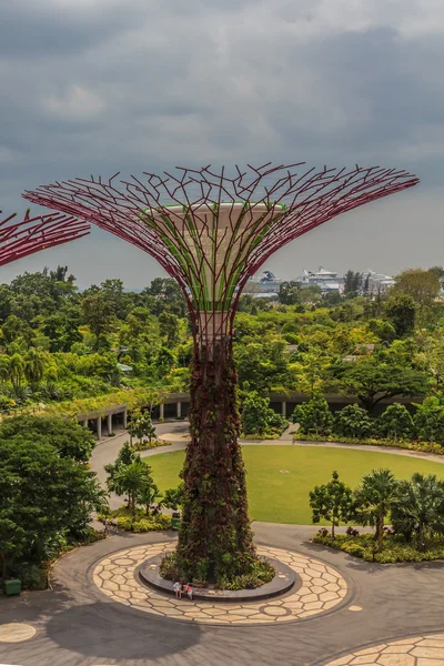 Singapore Supertrees — Stock Photo, Image