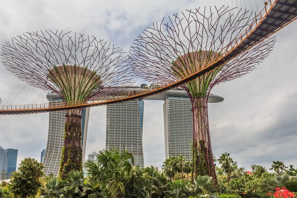 Singapore Supertrees — Stockfoto