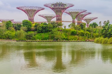 Singapur Supertrees