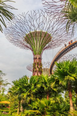 Singapur Supertrees